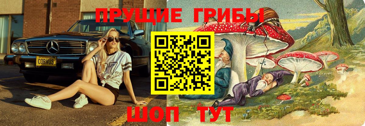 Псилоцибиновые грибы мицелий Кропоткин